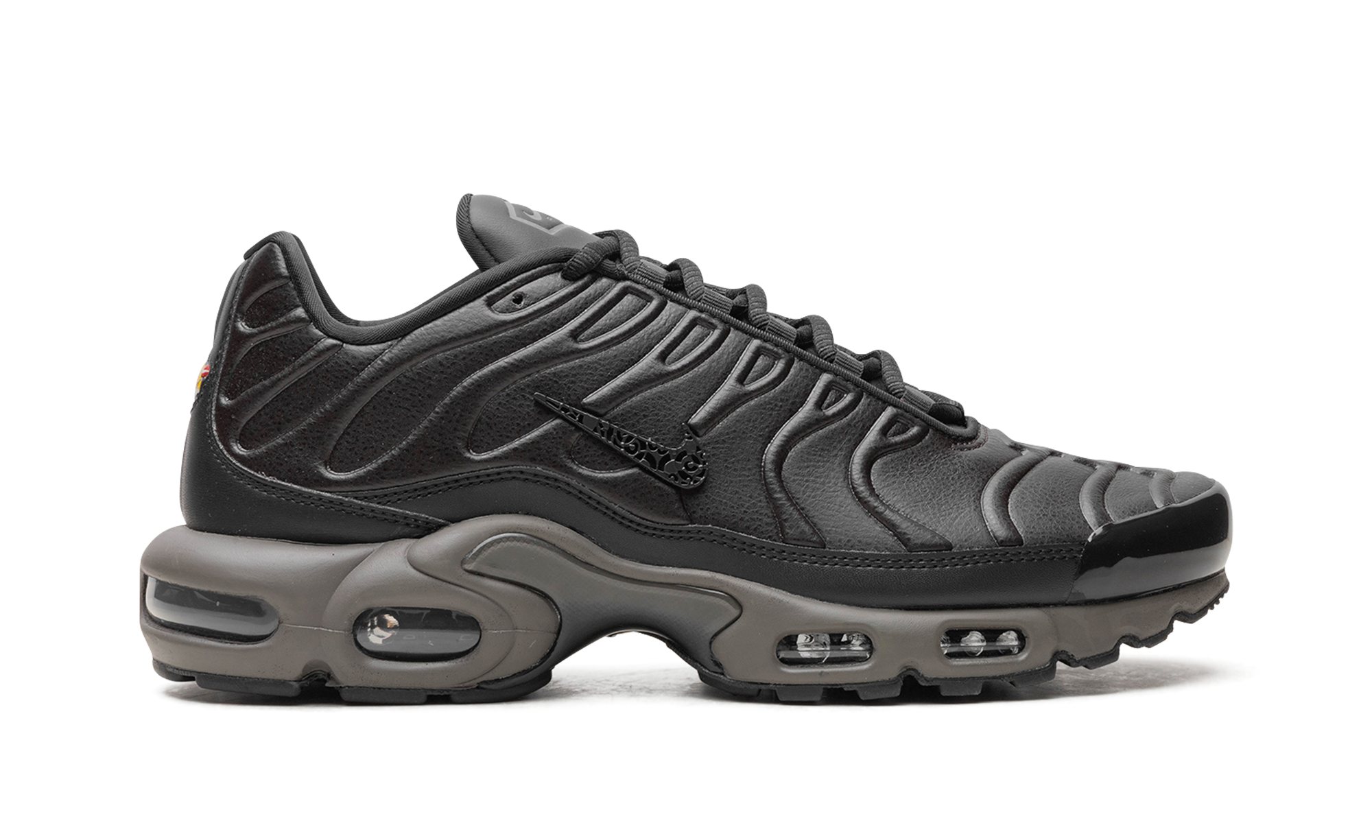 Nike Air Max Plus Black Tea / Petra Brown Black Tea / Petra Brown HJ4519 200