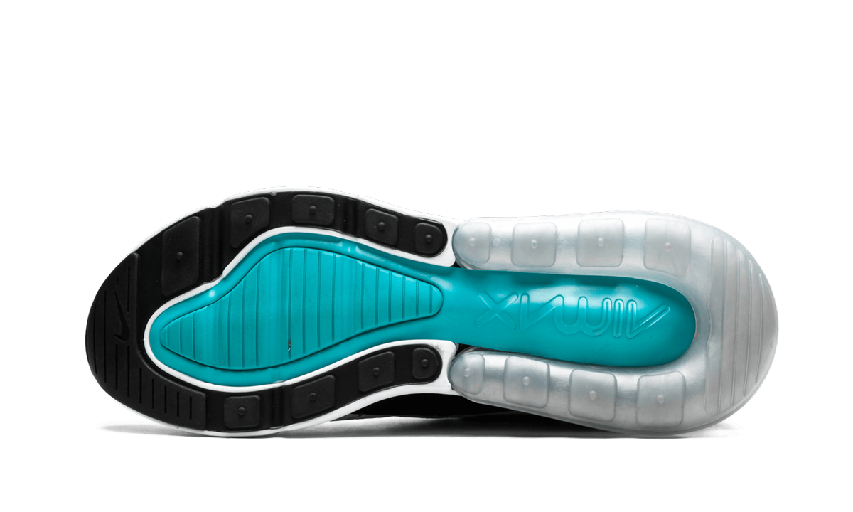 Nike Air Max 270 Dusty Cactus AH8050 001