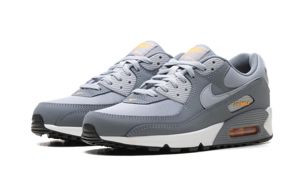 Nike Air Max 90 Cool Grey Sundial HV6224 002