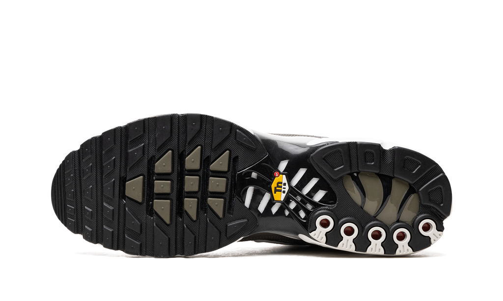 Nike Air Max Plus SE Flat Pewter DV7665 002