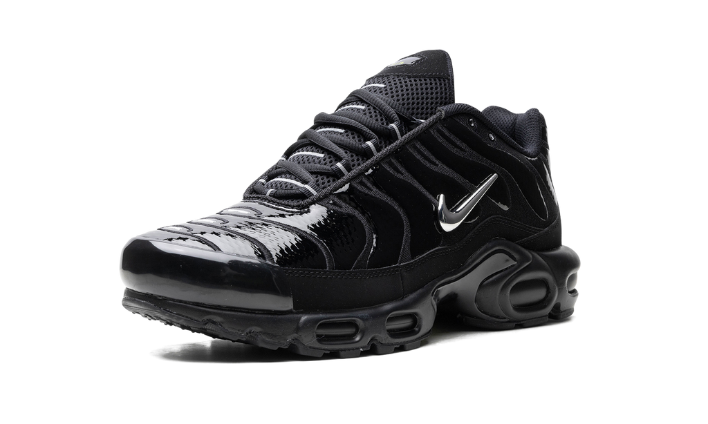 Nike Air Max Plus Metallic Black FJ2591 001