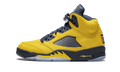 Air Jordan 5 Retro SE Michigan CQ9541 704