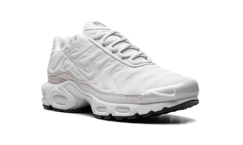 Nike Air Max Plus WMNS Platinum Tint FZ4342 001