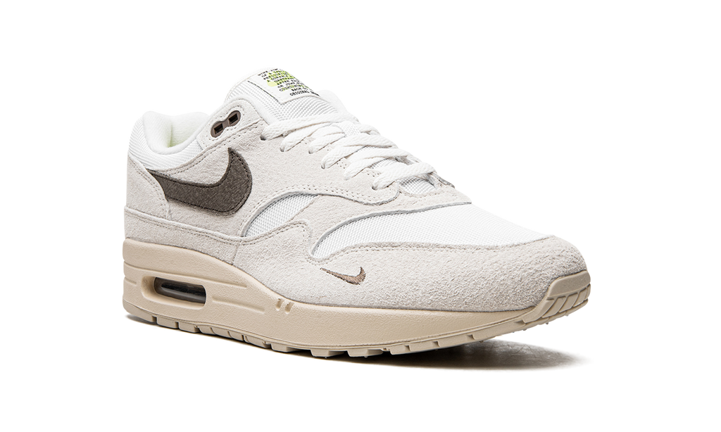 Nike Air Max 1 Sail Ironstone DZ4494 100