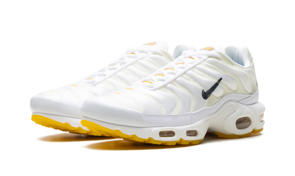 Nike Air Max Plus Marion Frank Rudy DQ8960 100