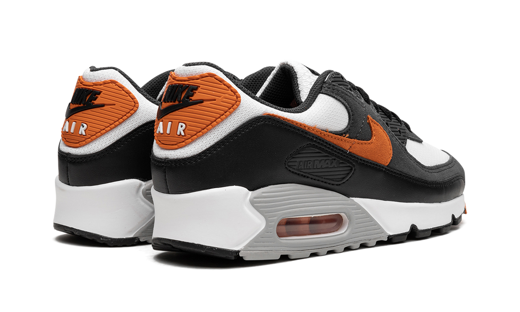 Nike Air Max 90 Starfish DM0029 101