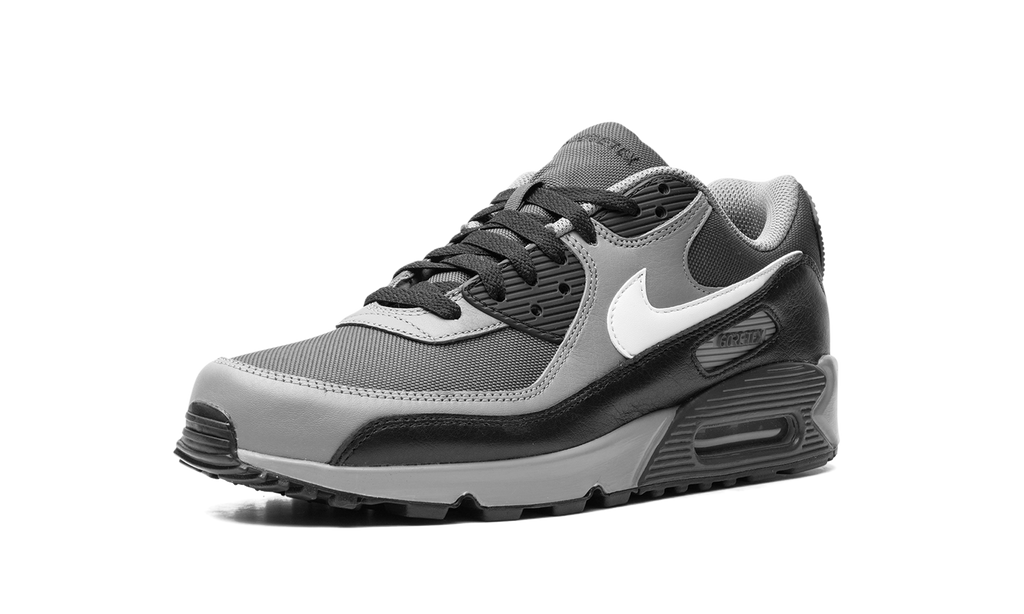 Nike Air Max 90 GORE-TEX Dark Smoke Grey FD5810 002