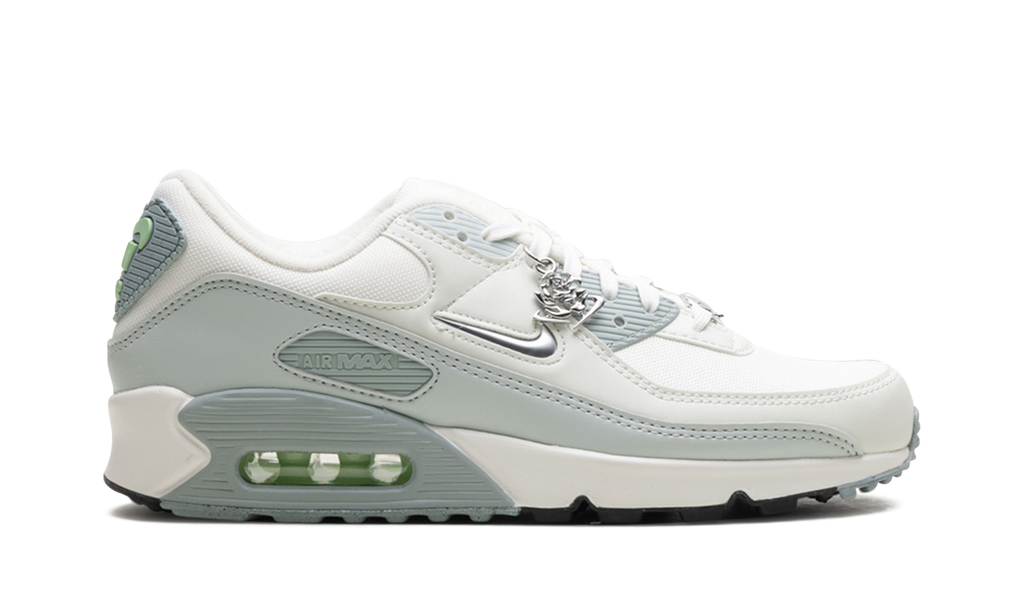 Nike Air Max 90 WMNS Silver FN6948-100