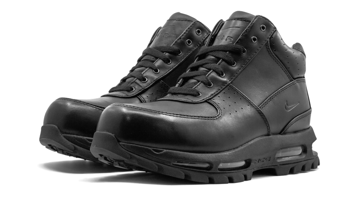 Nike Air Max Goadome Black 865031 009