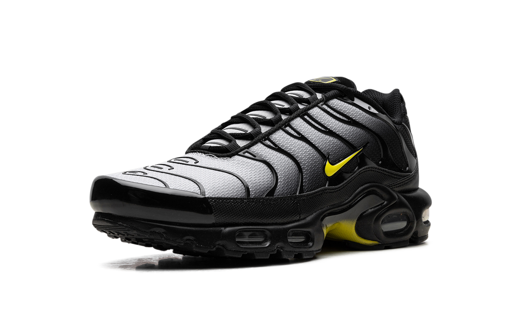 Nike Air Max Plus Wolf Grey Opti Yellow DM0032 012