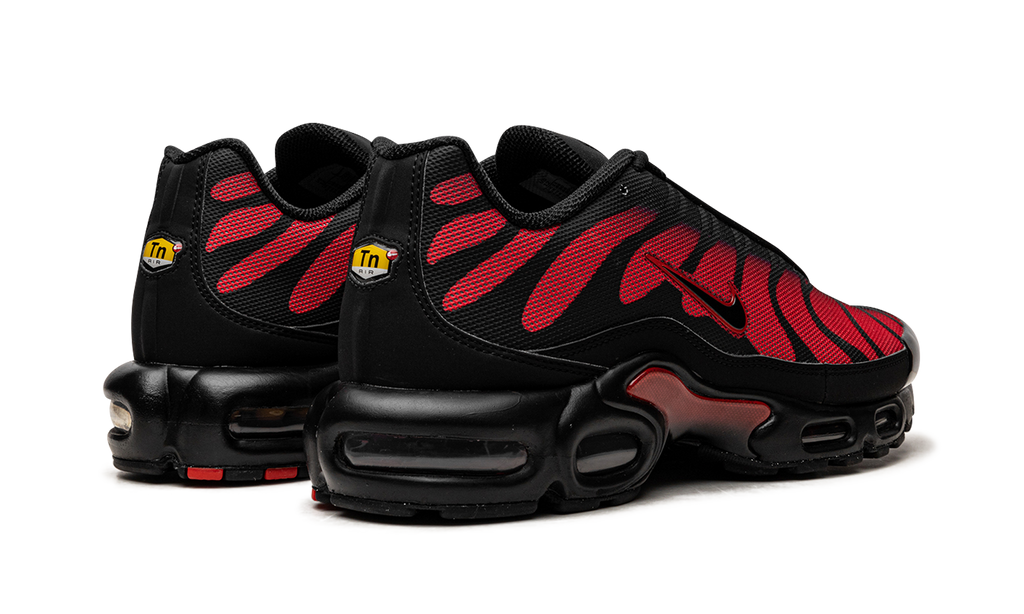 Nike Air Max Plus Bred Reflective DZ4507 600