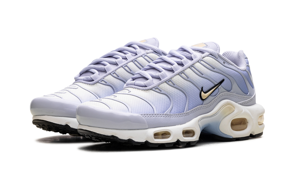 Nike Air Max Plus WMNS Daybreak DZ3670 004