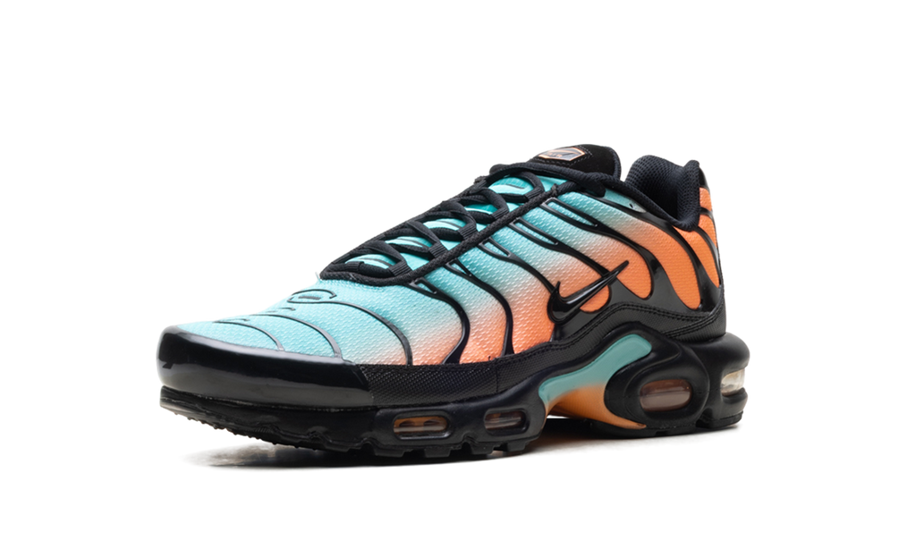 Nike Air Max Plus South Beach DM0032 022