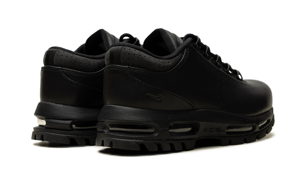 Nike Air Max Goadome Low Black IQ0641 001