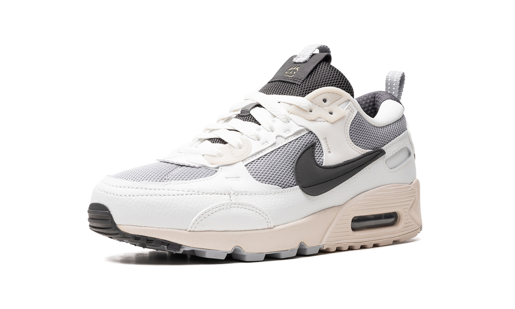 Nike AIR MAX 90 FUTURA WMNS Wolf Grey Summit White DZ4708 001