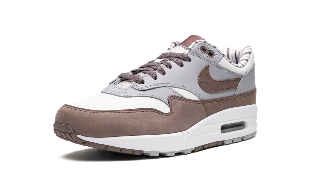 Nike Air Max 1 Shima Shima FB8916 100