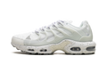 Nike Air Max Terrascape Plus White Pure Platinum DQ3977 100