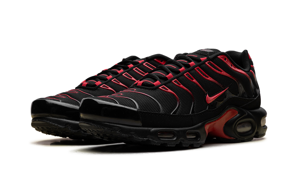 Nike Air Max Plus Bred CU4864 001