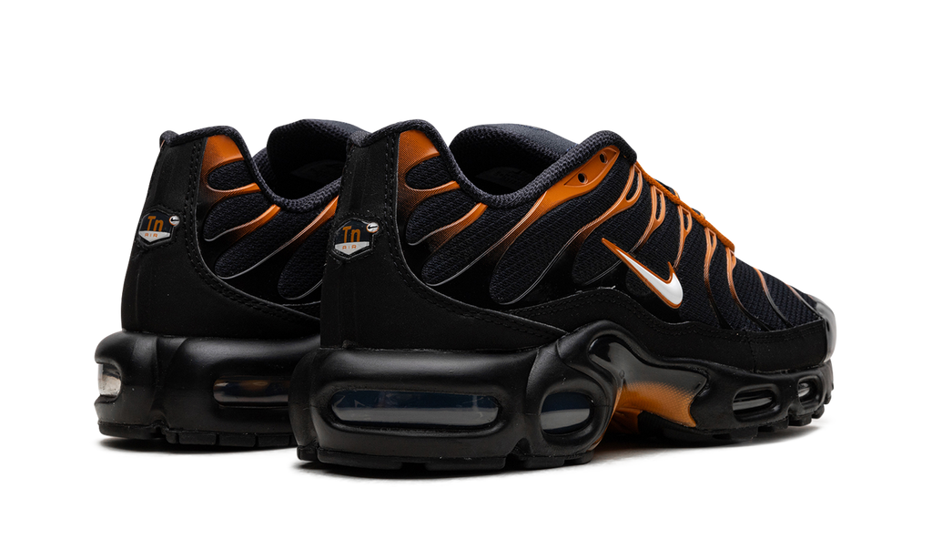 Nike Air Max Plus OBSIDIAN MONARCH FN6949 400