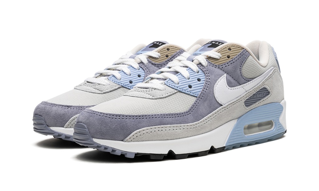 Nike Air Max 90 Ashen Slate DM0035 400