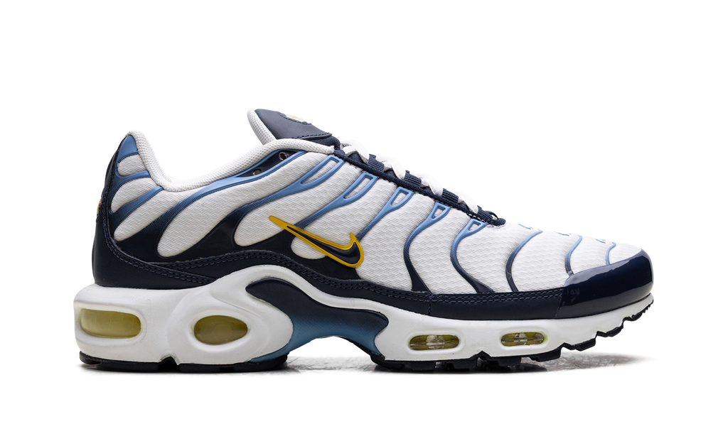 Nike Air Max Plus CT1094 100