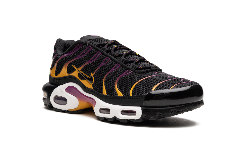 Nike Air Max Plus DX2663 001