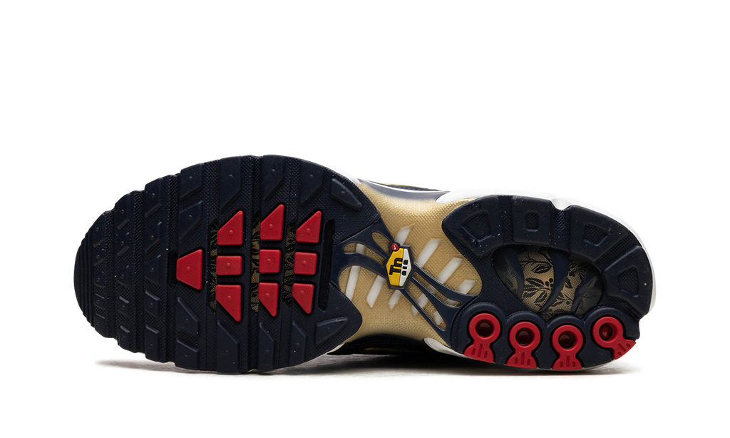 Nike Air Max Plus FFF fb3350 400