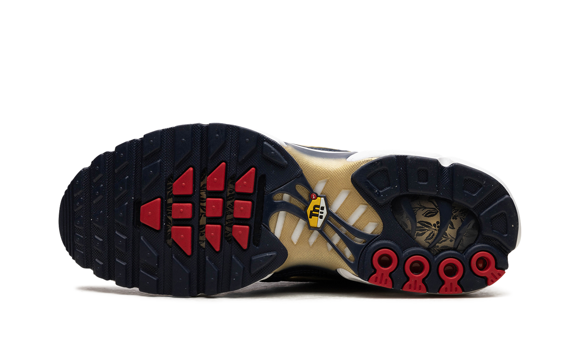 Nike Air Max Plus FFF fb3350 400