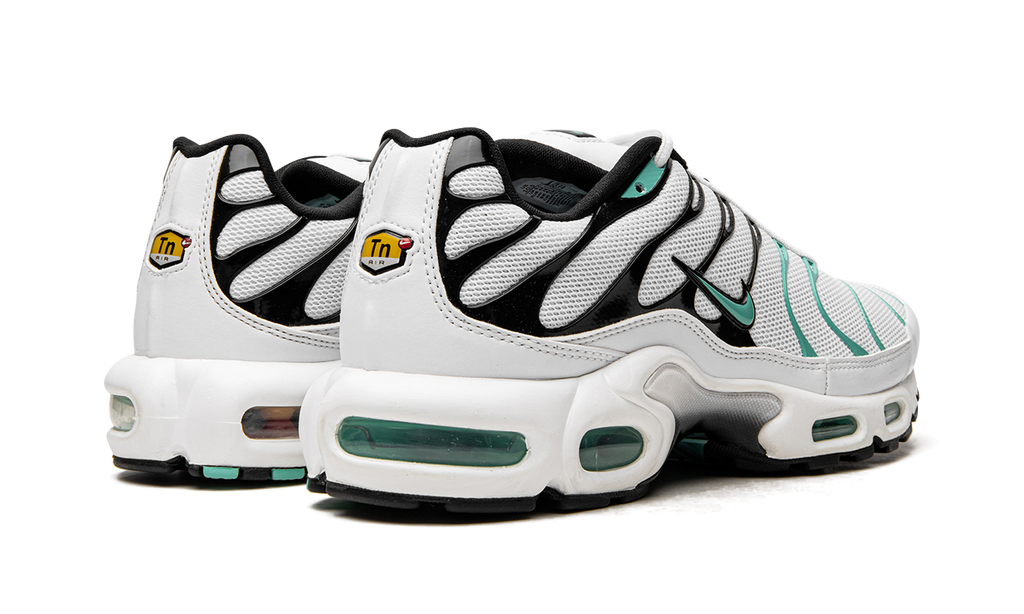 Nike Air Max Plus Atmos 604133 148