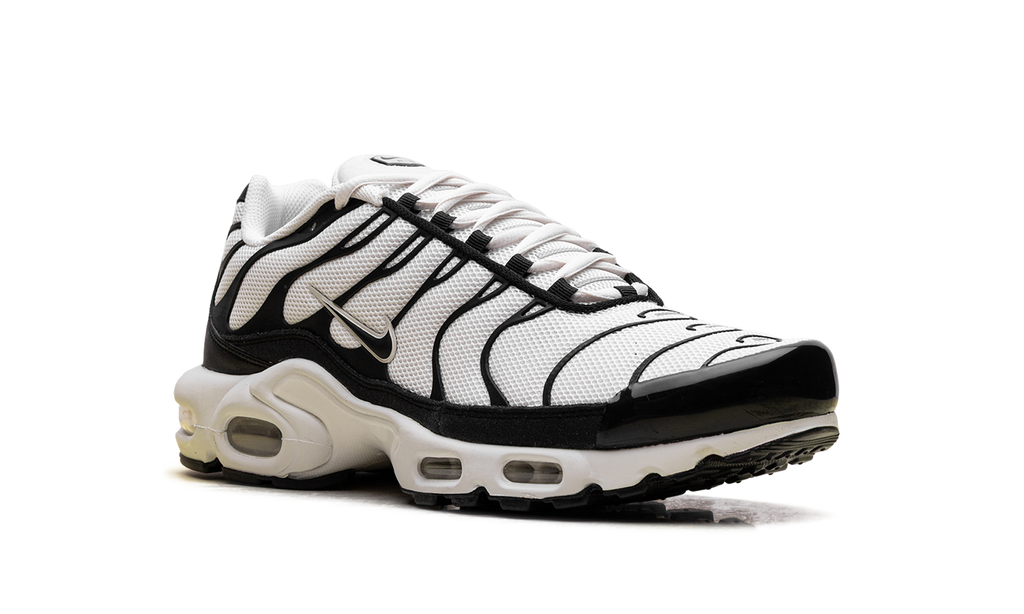 Nike Air Max Plus Panda FV6264 001