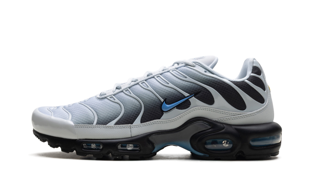Nike Air Max Plus Grey University Blue Black DM0032 015
