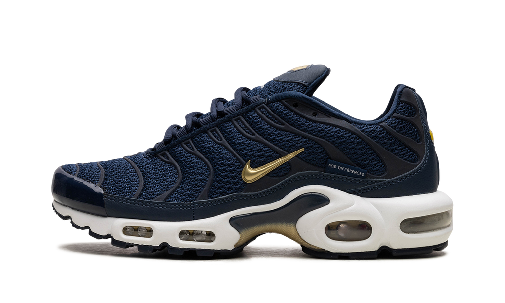 Nike Air Max Plus FFF fb3350 400