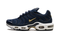 Nike Air Max Plus FFF fb3350 400