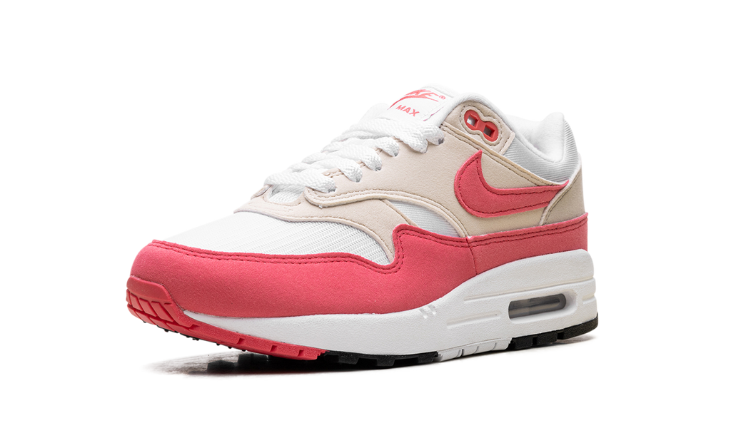 Nike Air Max 1 WMNS Aster Pink DZ2628 110
