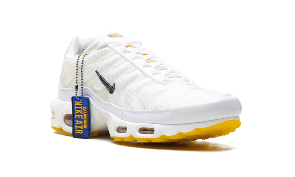 Nike Air Max Plus Marion Frank Rudy DQ8960 100
