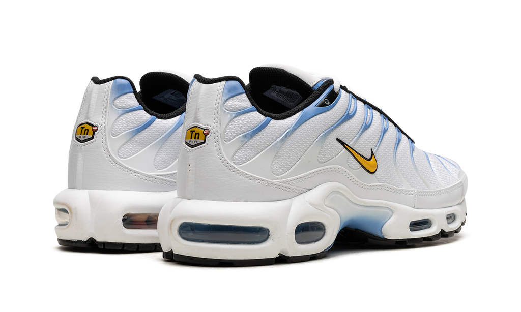 Nike Air Max Plus White University Blue DM0032 101