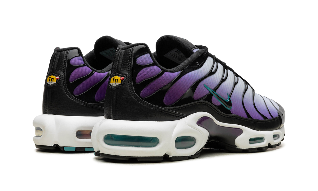 Nike Air Max Plus Reverse Grape FQ2415 500