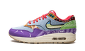 Nike Air Max 1 SP Concepts - Wild Violet - Special Box DN1803 500S