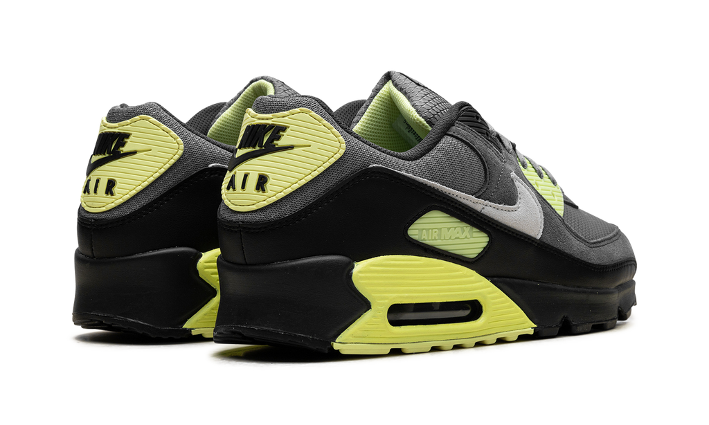 Nike Air Max 90 Smoke Grey Light Lemon Twist DM0029 012