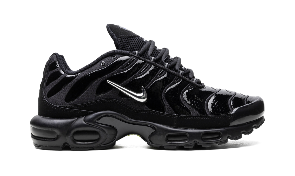 Nike Air Max Plus Metallic Black FJ2591 001