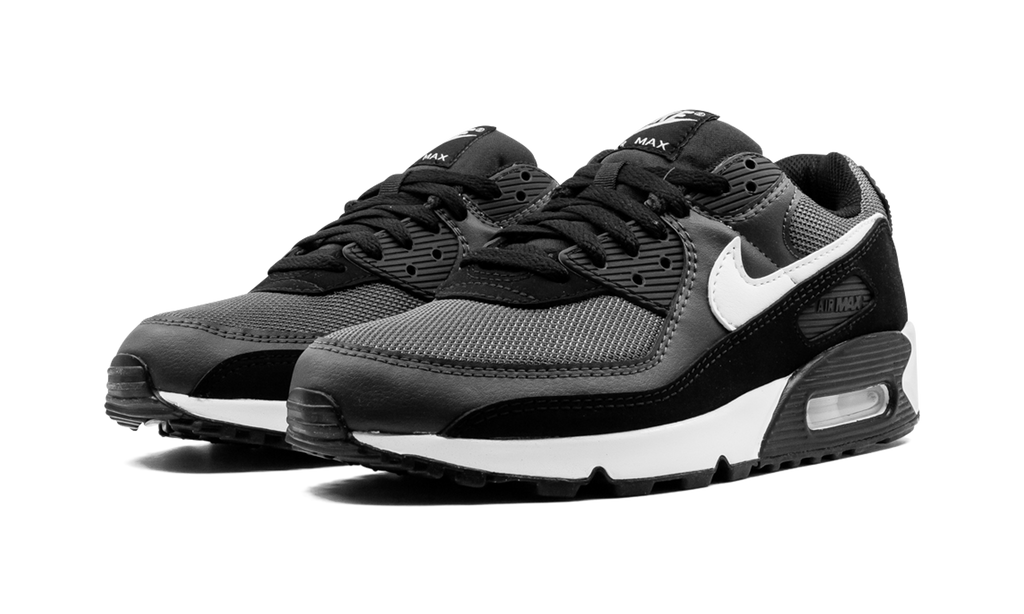 Nike Air Max 90 Iron Grey CN8490 002