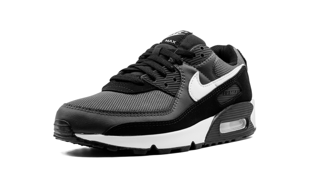 Nike Air Max 90 Iron Grey CN8490 002