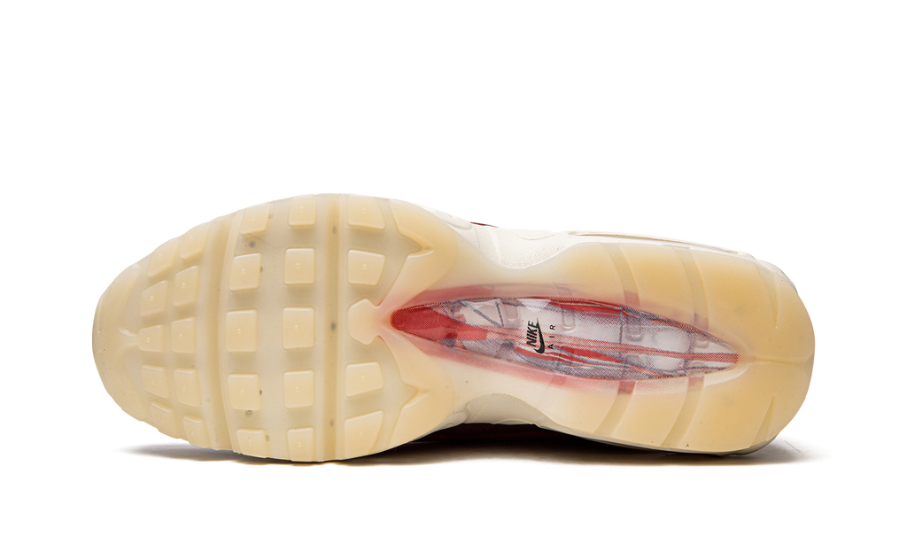 Nike Air Max 95 QS Anatomy of Air DM0012 600