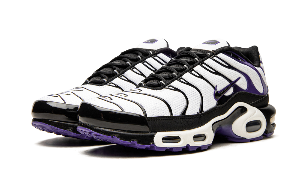Nike Air Max Plus Persian Violet DB0682 100