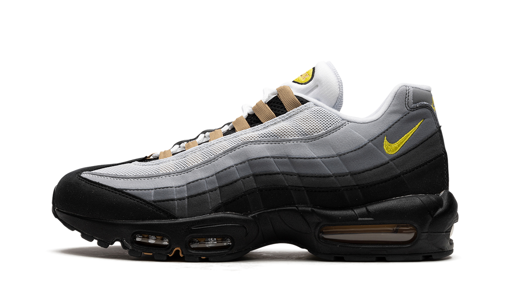 Nike Air Max 95 ICONS DX4236 100
