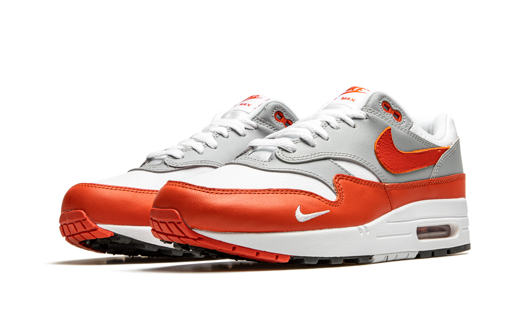 Nike Air Max 1 Martian Sunrise DH4059 102