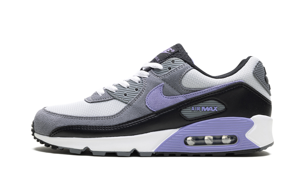 Nike Air Max 90 Light Thistle DM0029 014