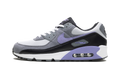 Nike Air Max 90 Light Thistle DM0029 014