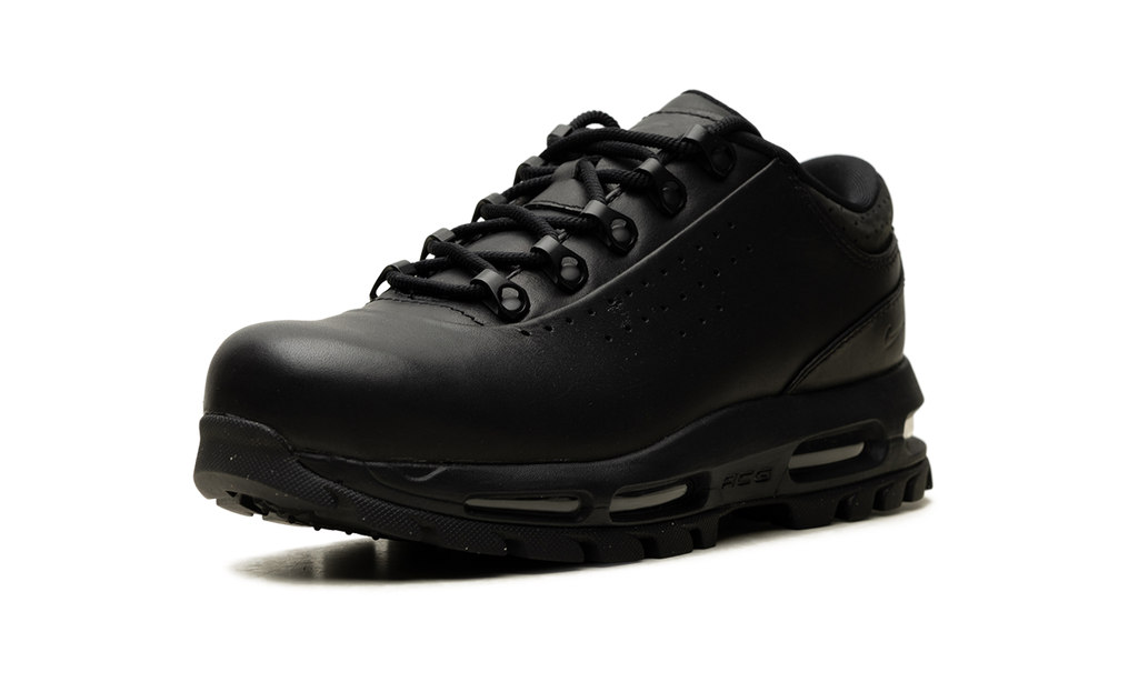 Nike Air Max Goadome Low Black IQ0641 001