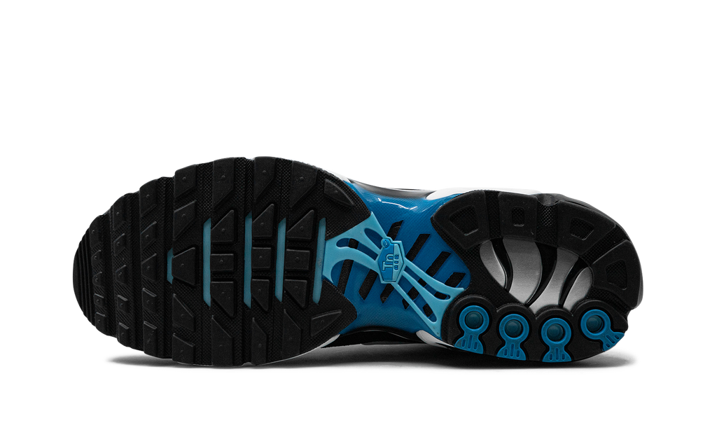 Nike Air Max Plus Aquarius Blue DM0032 402